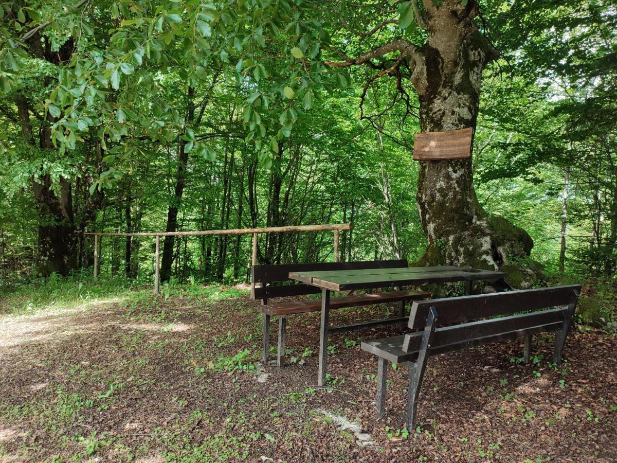 Holiday Home "Sleme" With Jacuzzi, Big Garden And Arbor With Fireplace Skrad Esterno foto
