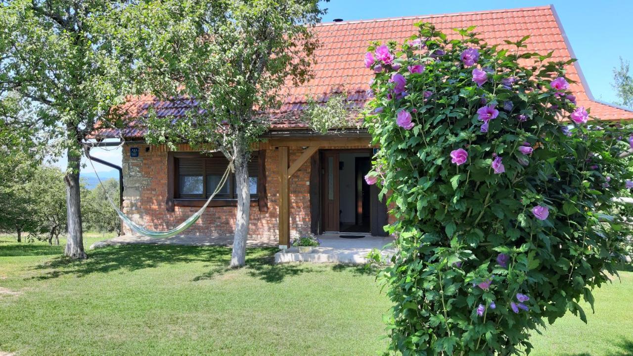 Holiday Home "Sleme" With Jacuzzi, Big Garden And Arbor With Fireplace Skrad Esterno foto
